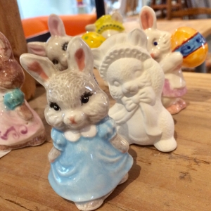Small Animals
